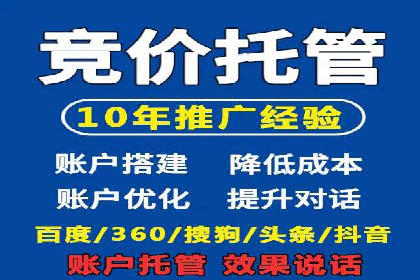 竞价推广实战：案例分析行业领军企业的成功之道
