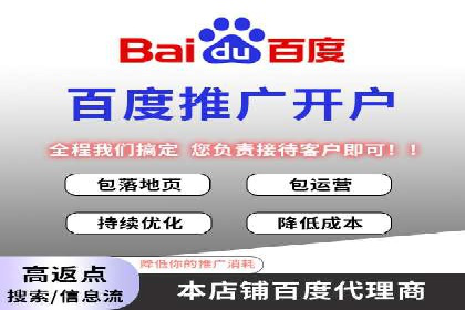 百度推广策略揭秘：某行业领头羊的成功经验